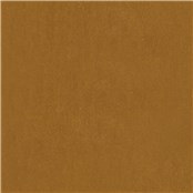 Angora_Mohair_Golden