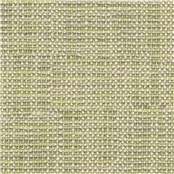 Buenos_Aires_Bamboo