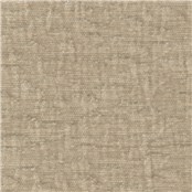 Charlotte_Dogwood