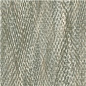 Himalayan_Mohan