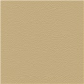 Palo_Alto_Coleridge