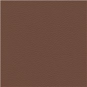 Palo_Alto_Pulgas