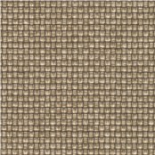Plaited_Mushroom