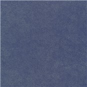 Purebrindle_Blue_Jay