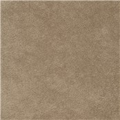 Purebrindle_Sandbar