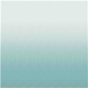 Rx_1008_Balance