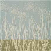 Rx_6001_Seed
