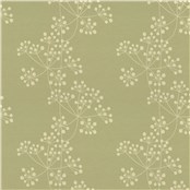 Rx_7008_Fennel