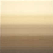 Rx_8001_Sandy_Beach