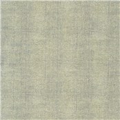Sharkskin_Shortfin