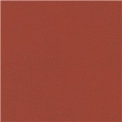Sunnyvale_Madrone