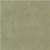 Ultraposh_Eucalyptus_Leaf