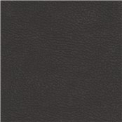 Ultraposh_Graphite
