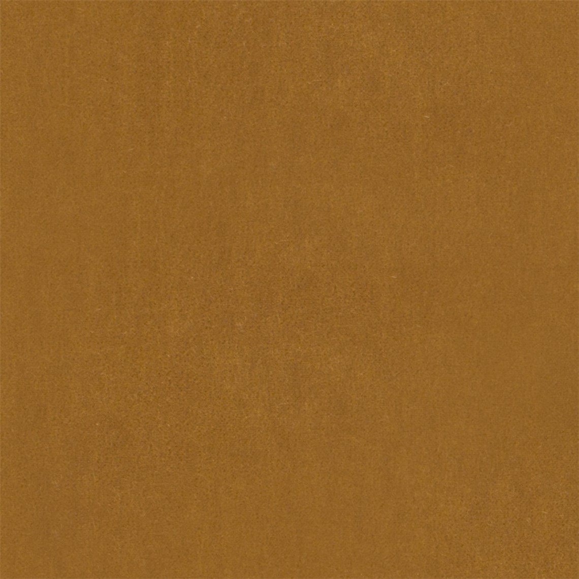 Angora_Mohair_Golden