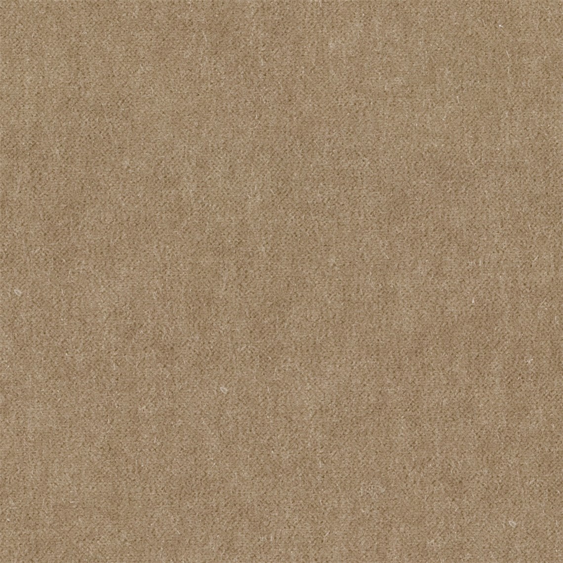 Angora_Mohair_Grain