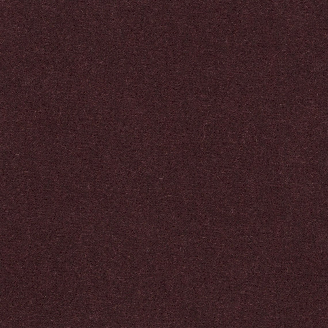 Angora_Mohair_Sommelier