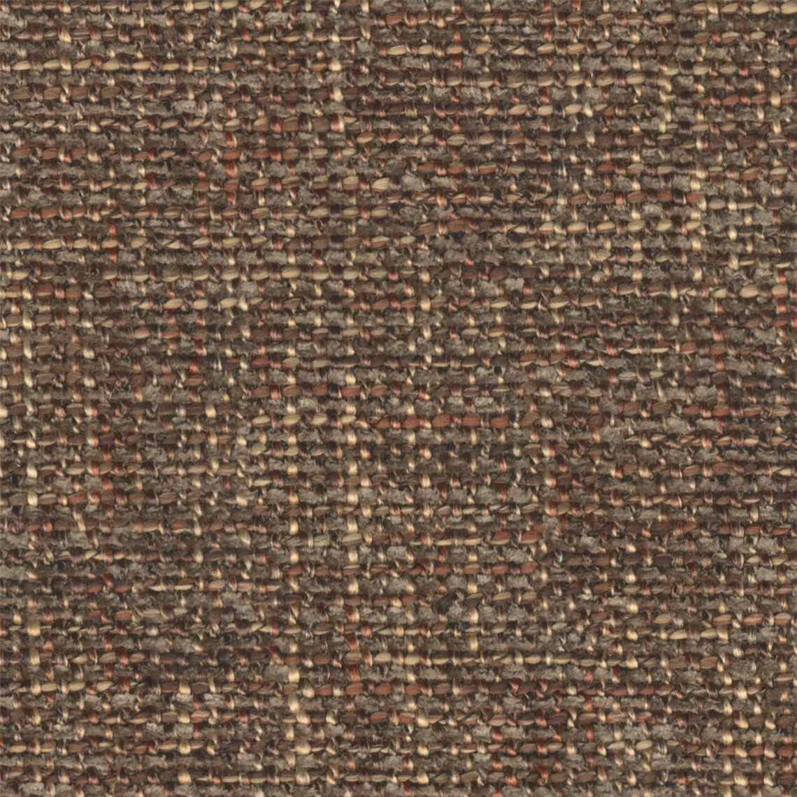 Burlington_Brindle