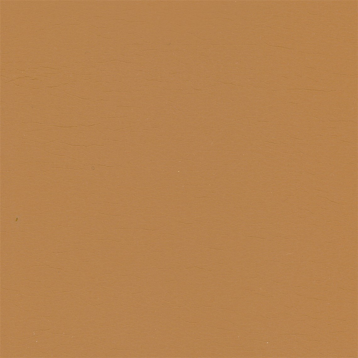 Calf_Cumin