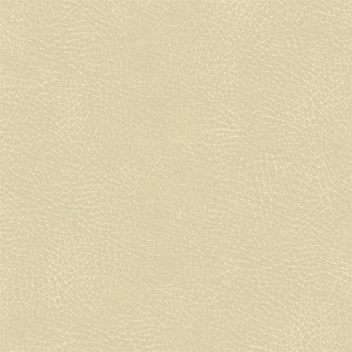 Classic_Birch