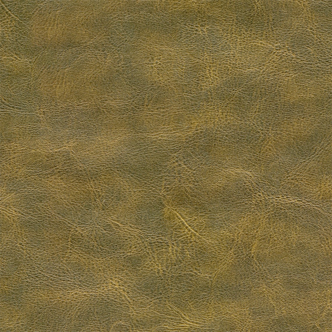 Dakota_Moss_Rock