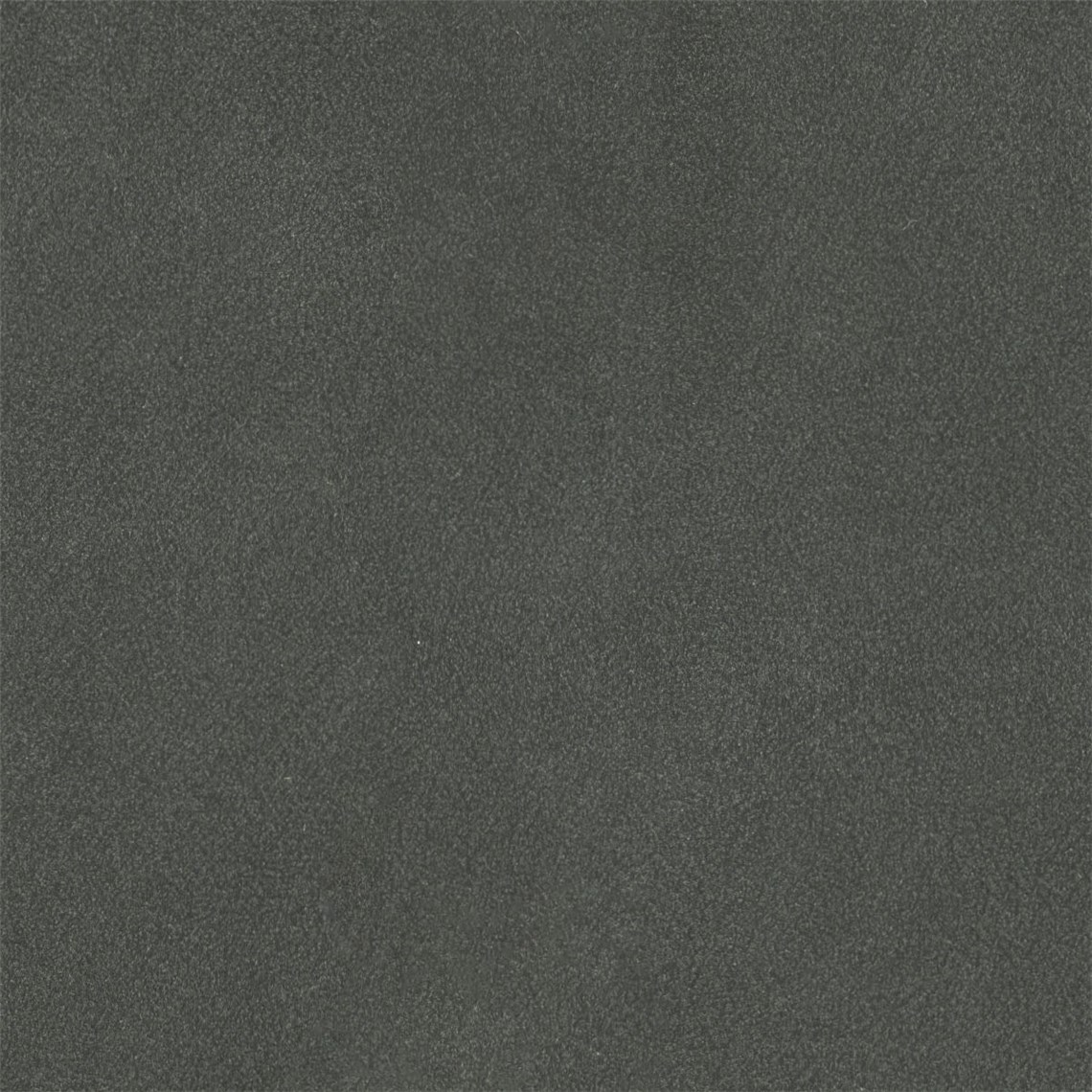 English_Suede_Beluga