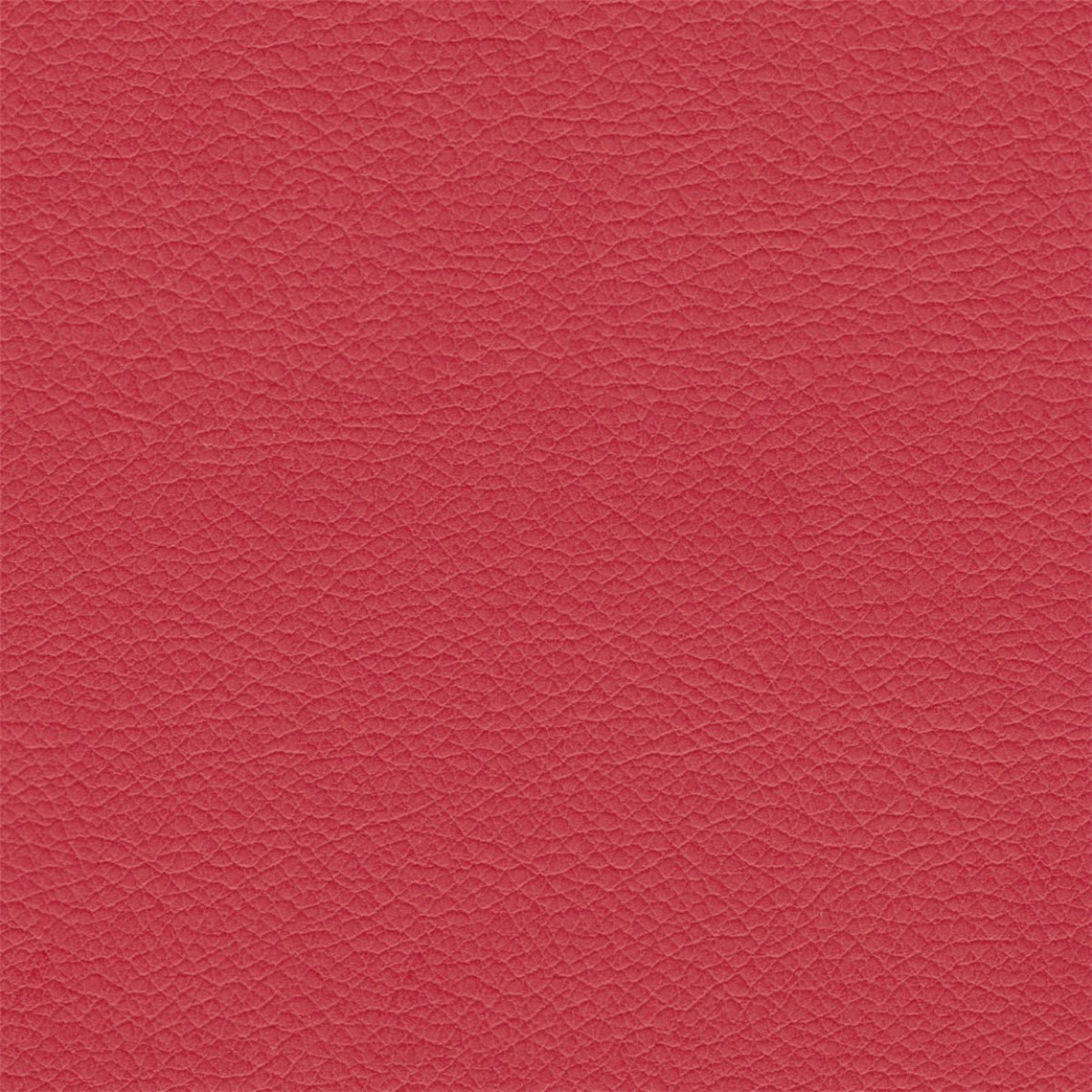 Evolution_Ozone