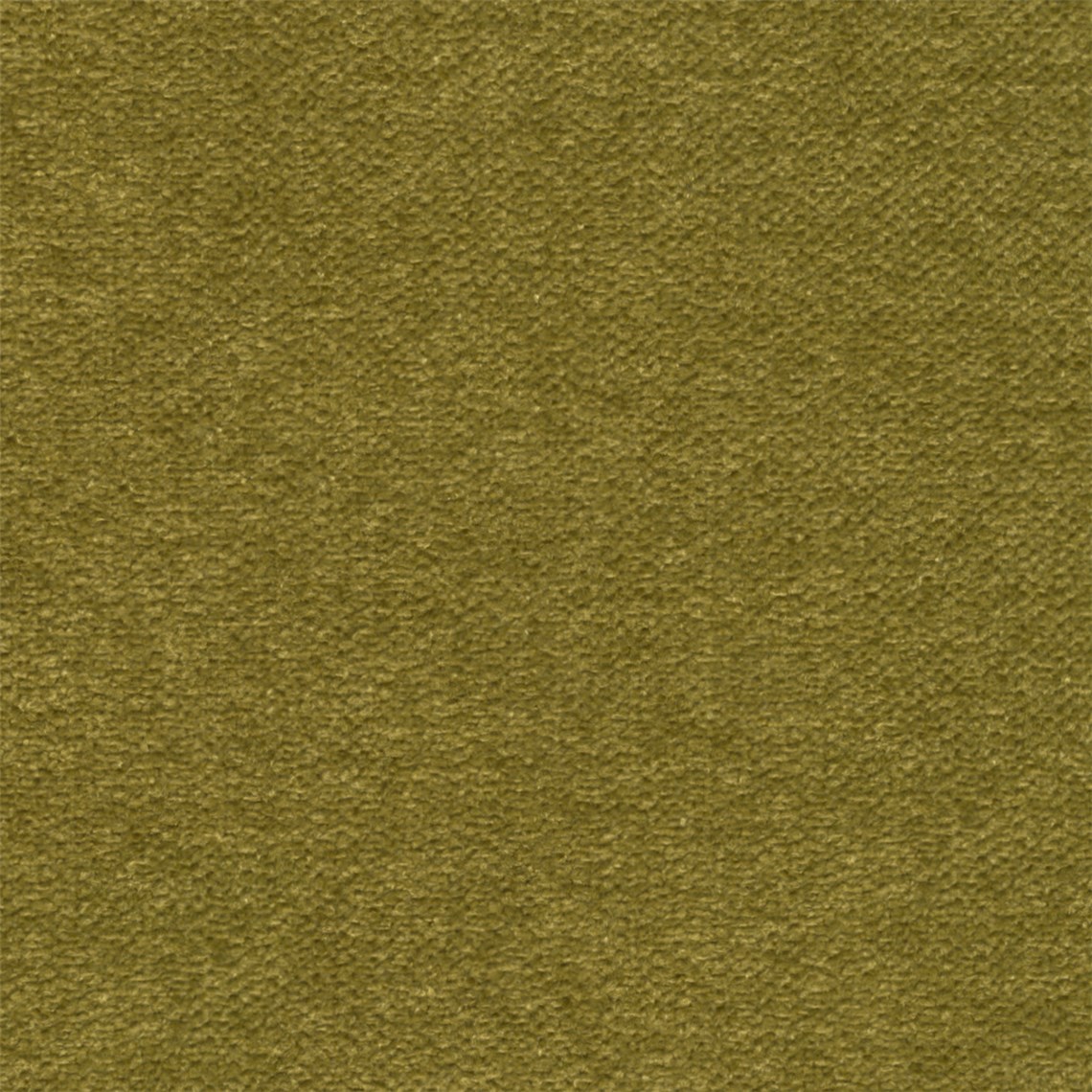 Furstenberg_Olive