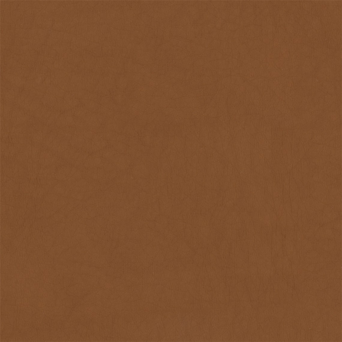 Hush_Acorn