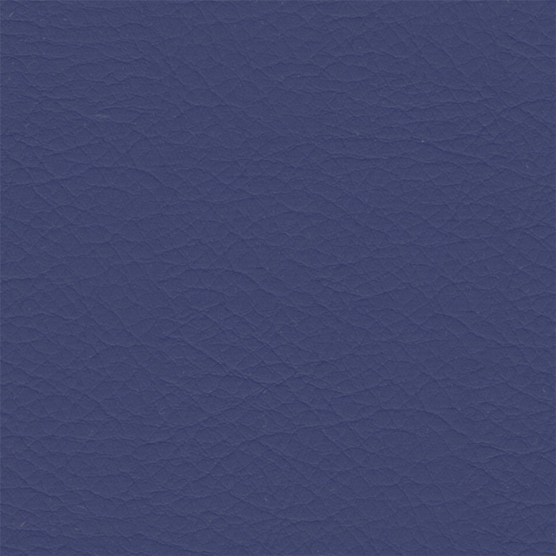 Hush_Indigo
