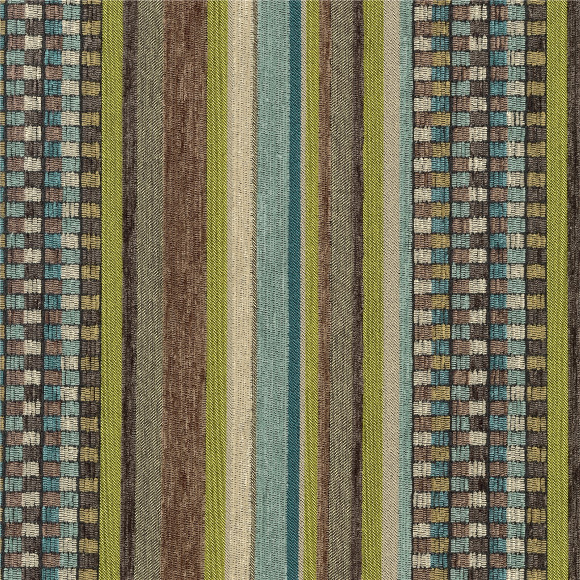 Manzanita_Blue_Palo_Verde
