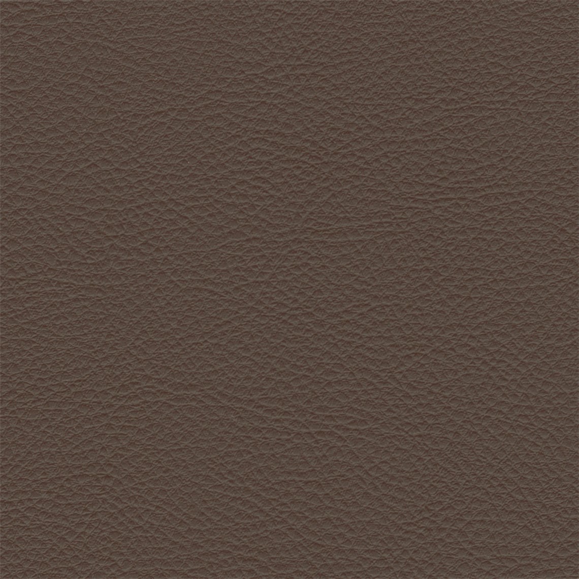 Palo_Alto_Greer