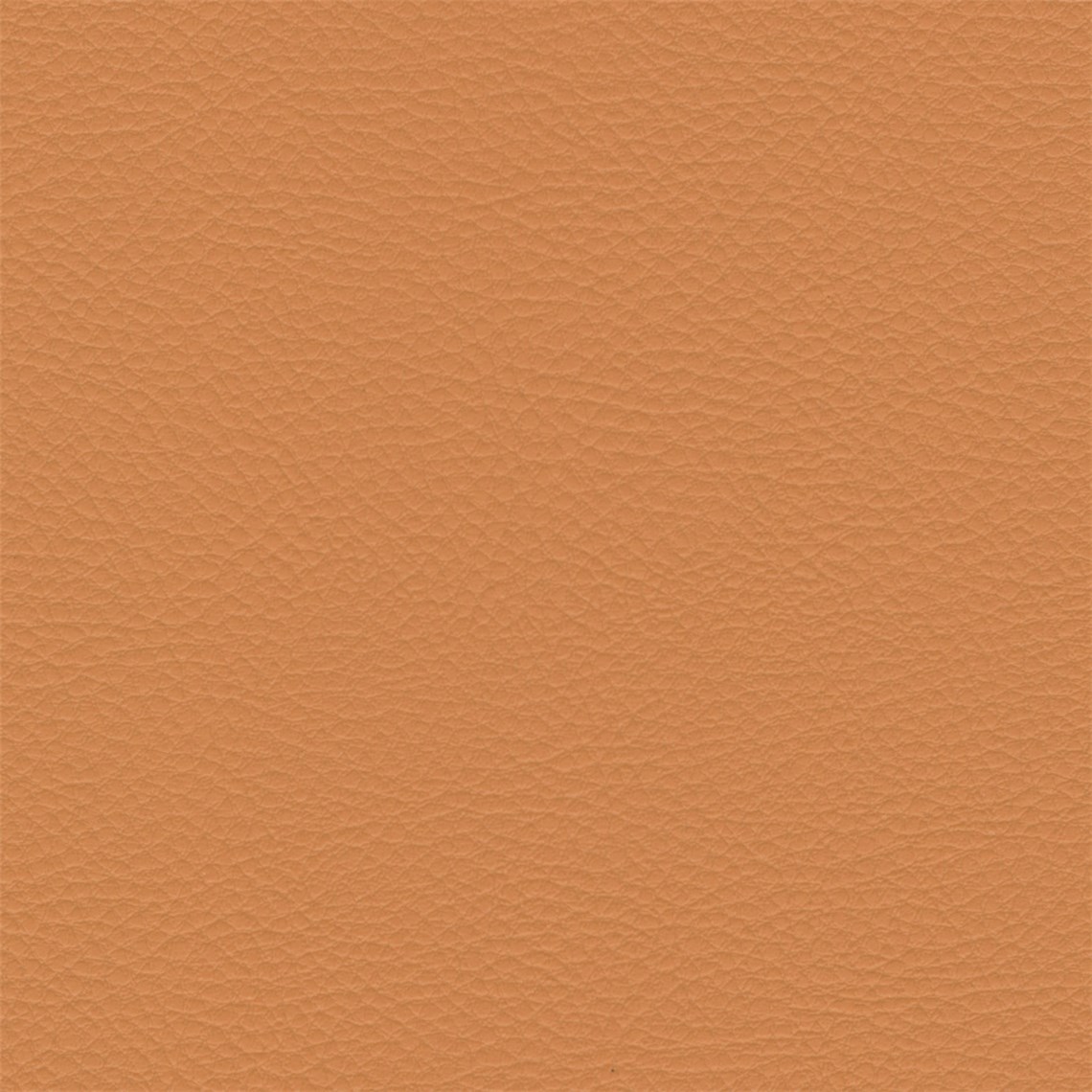 Palo_Alto_Melville