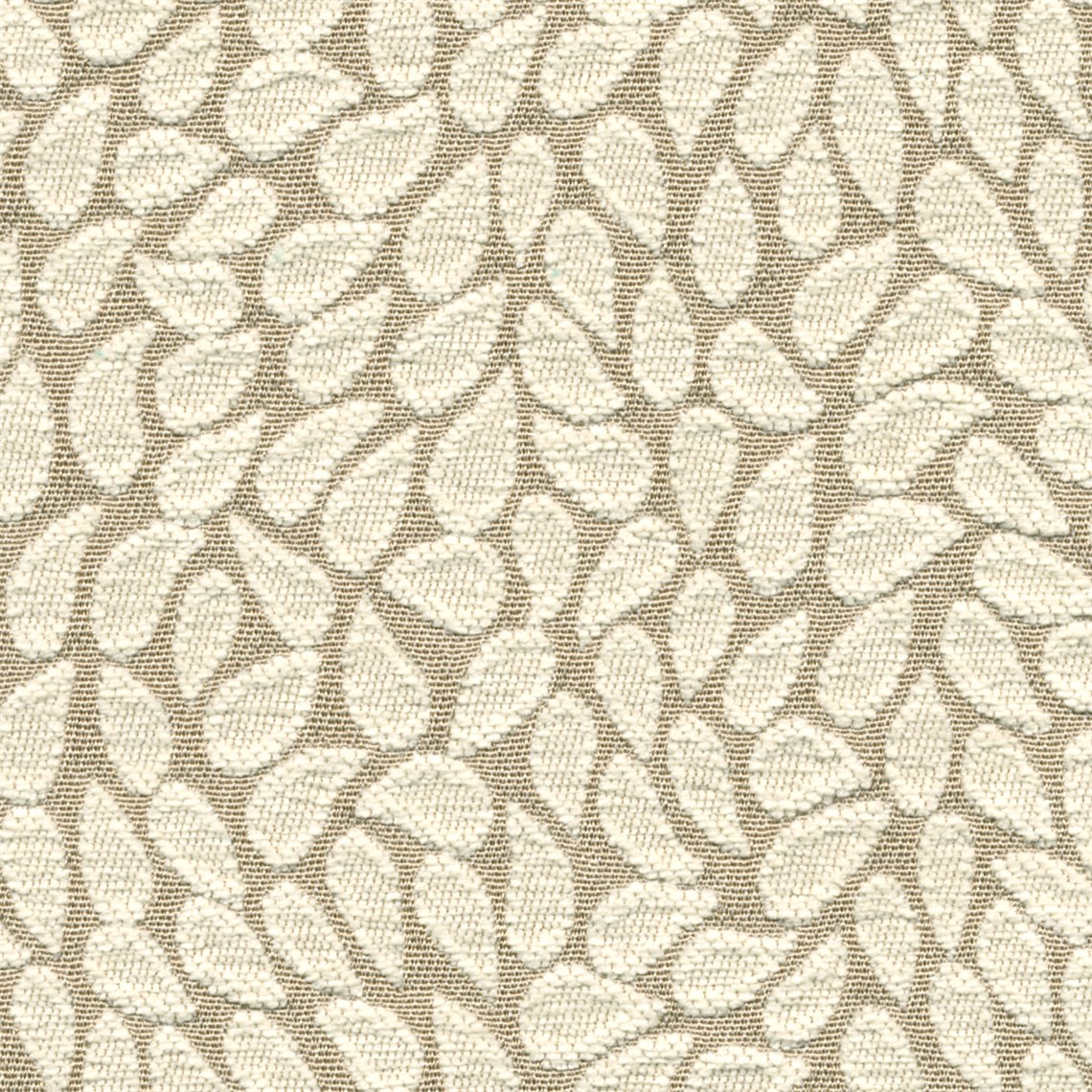 Pathway_Cream