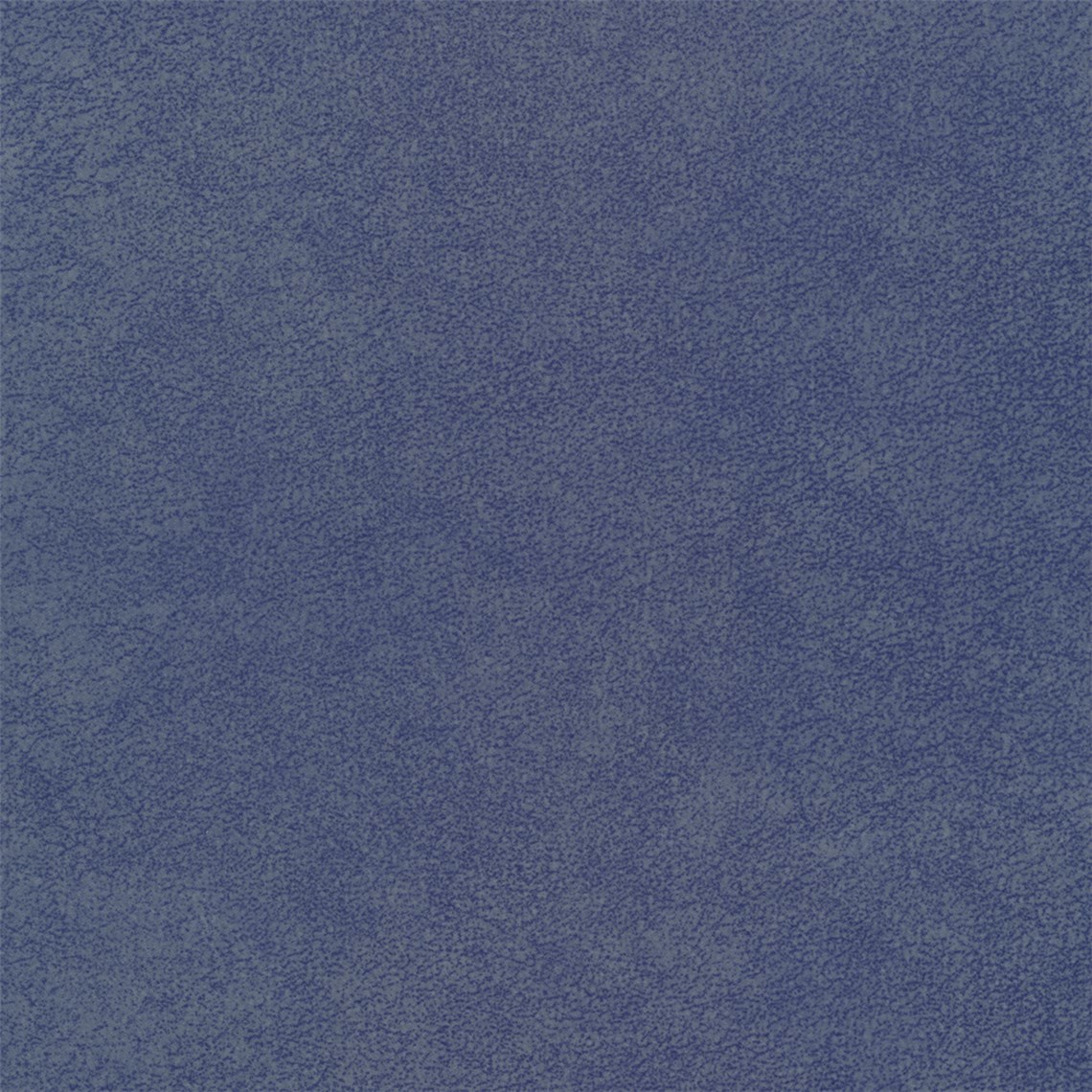 Purebrindle_Blue_Jay