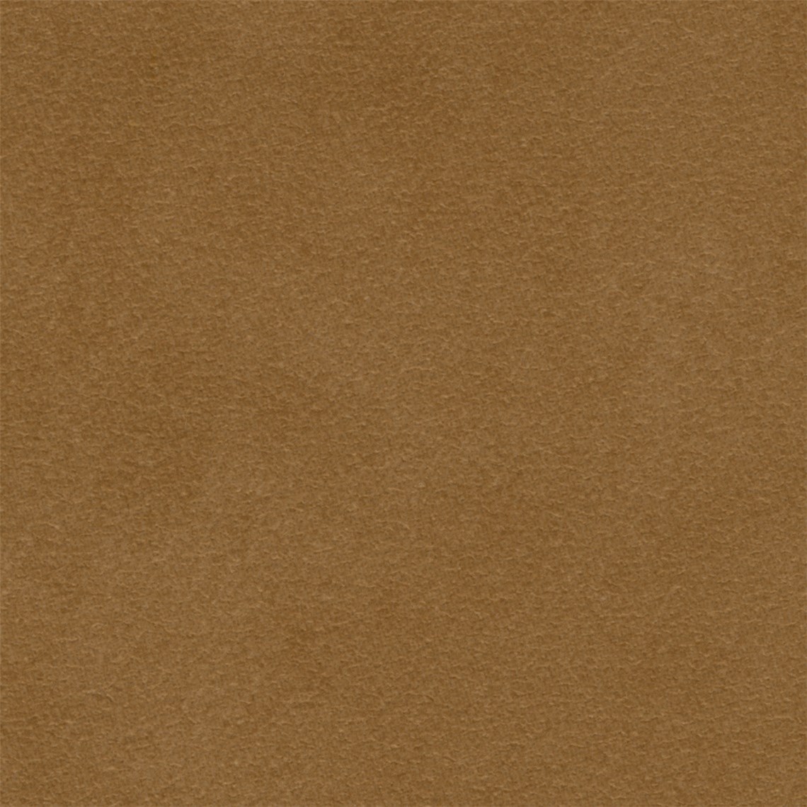 Purenubuck_Antelope