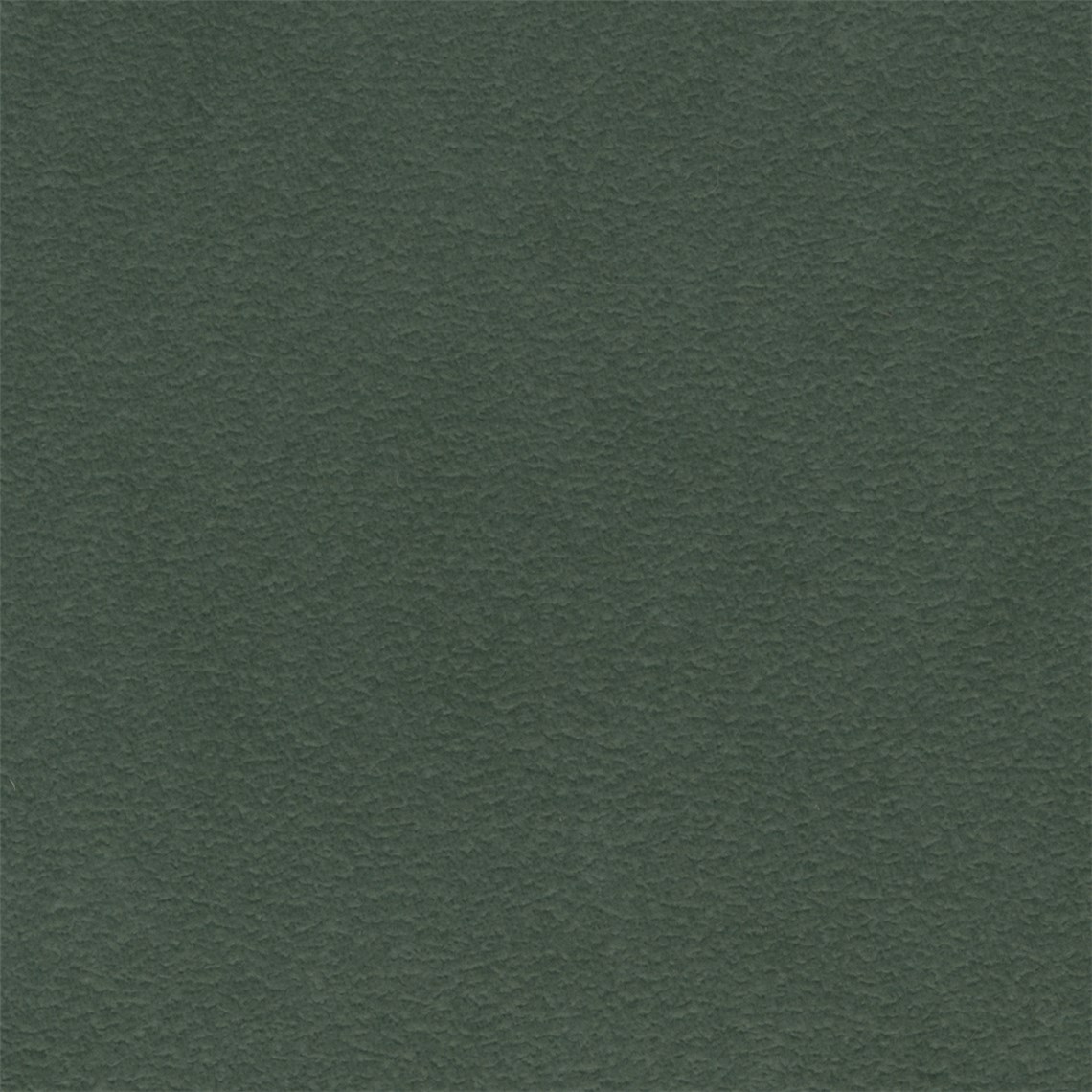 Purenubuck_Mallard