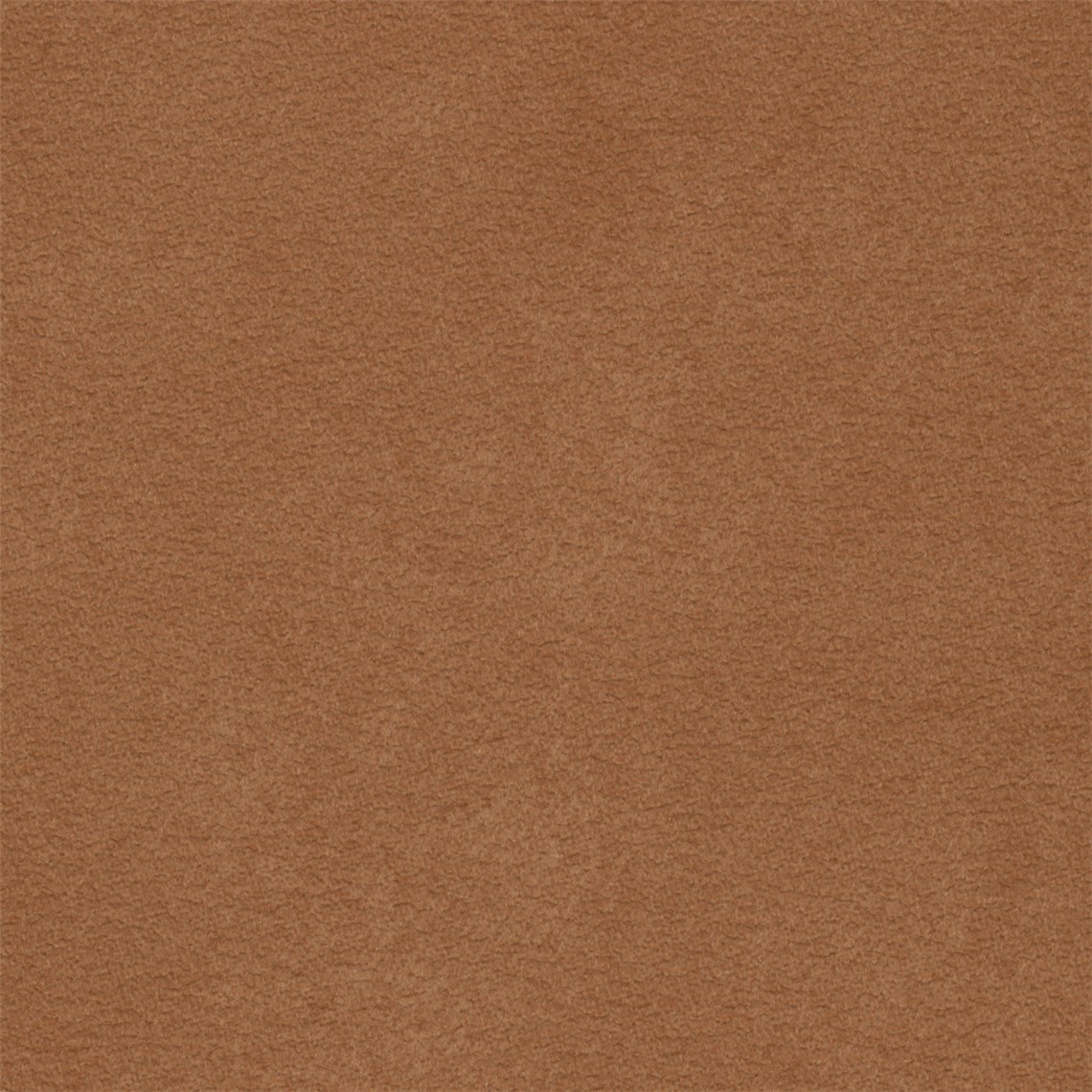 Purenubuck_Orangutan