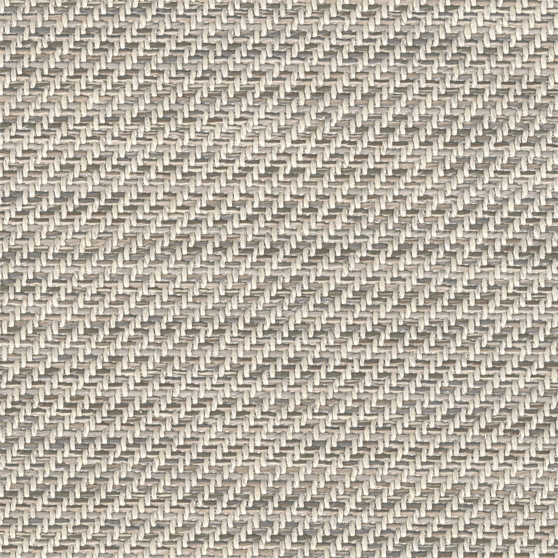 Puretwill_Rabbit
