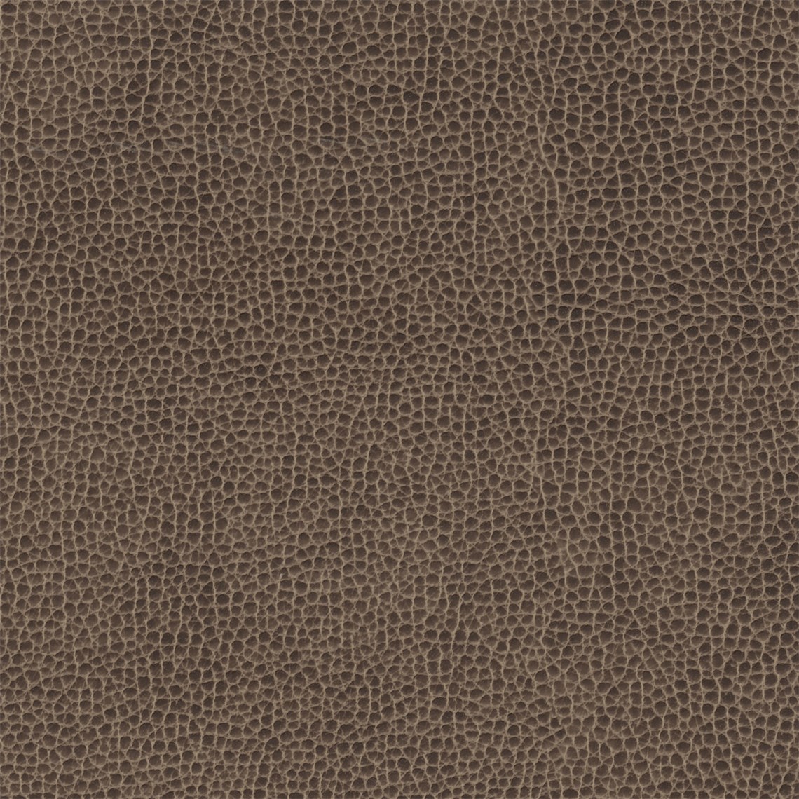 Rugged_Marble