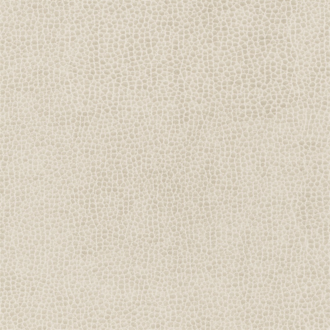 Rugged_Stone