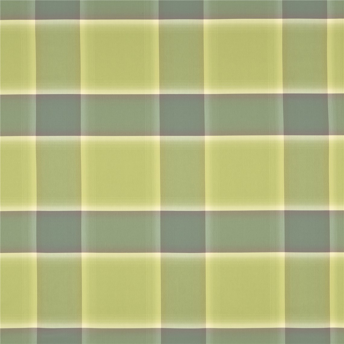 Rx_1001_Perennial