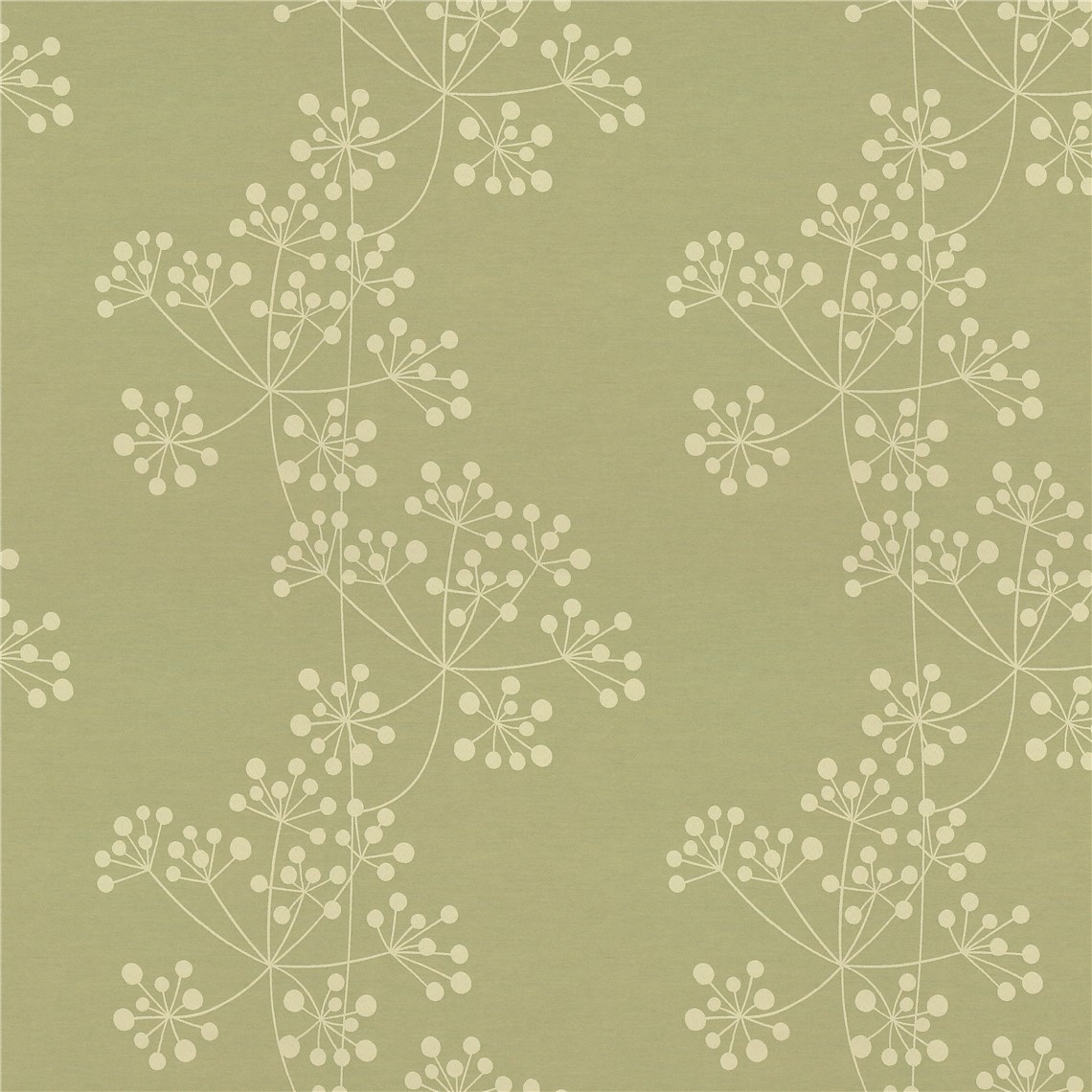 Rx_7008_Fennel
