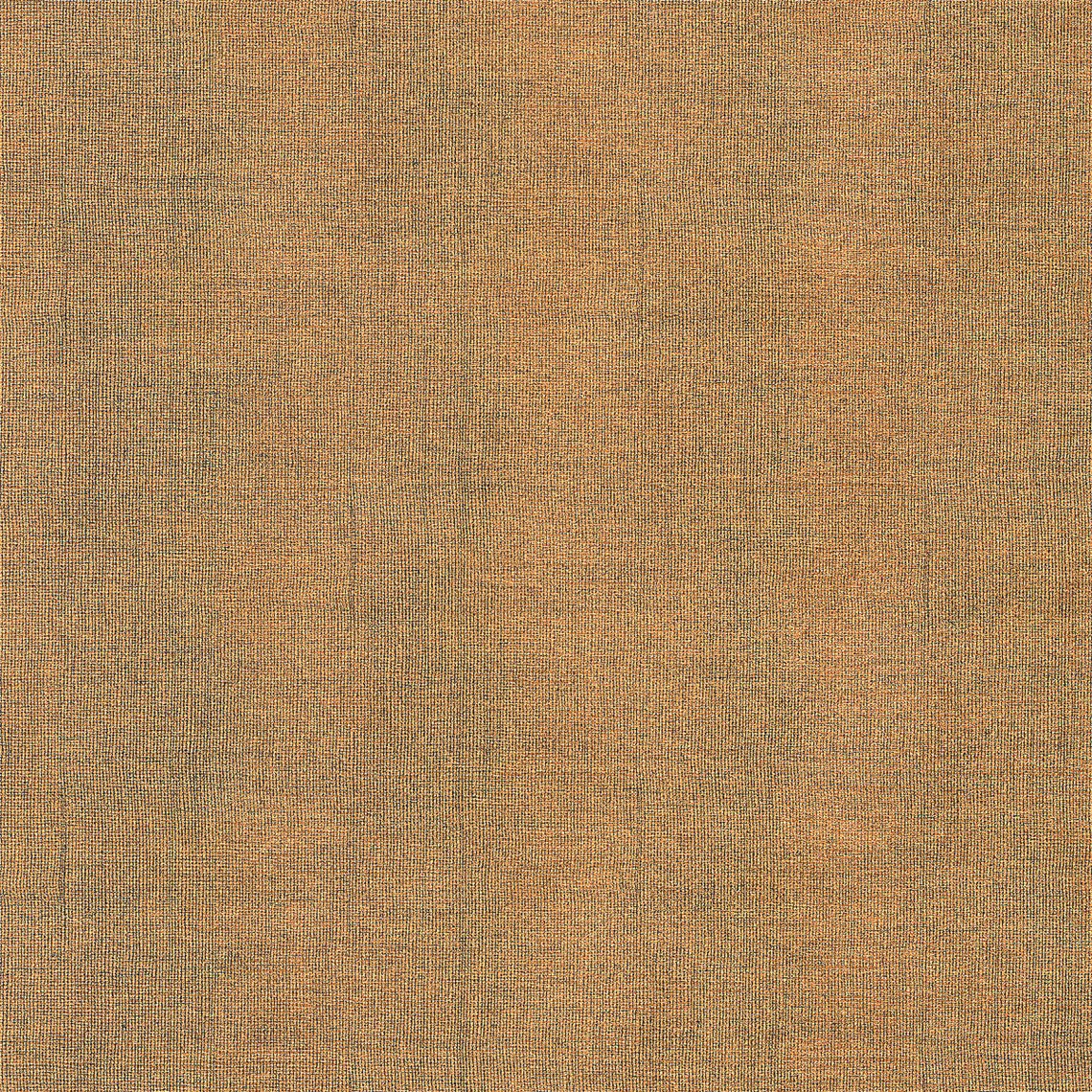 Sharkskin_Hammerhead