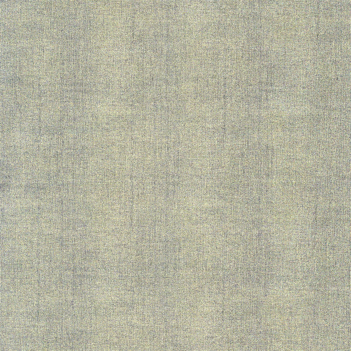 Sharkskin_Shortfin