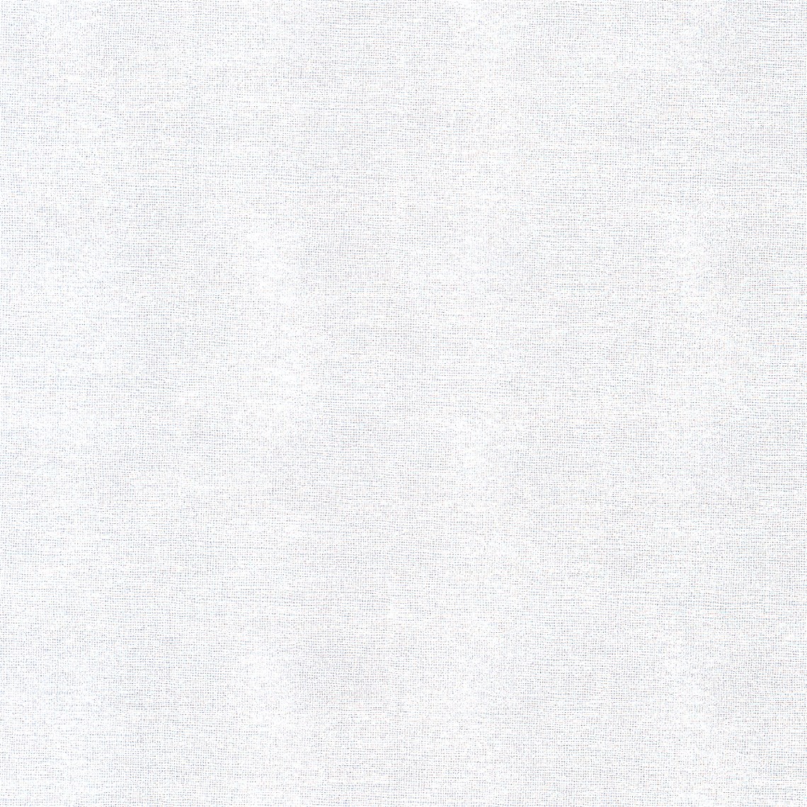 Sharkskin_Whitetip