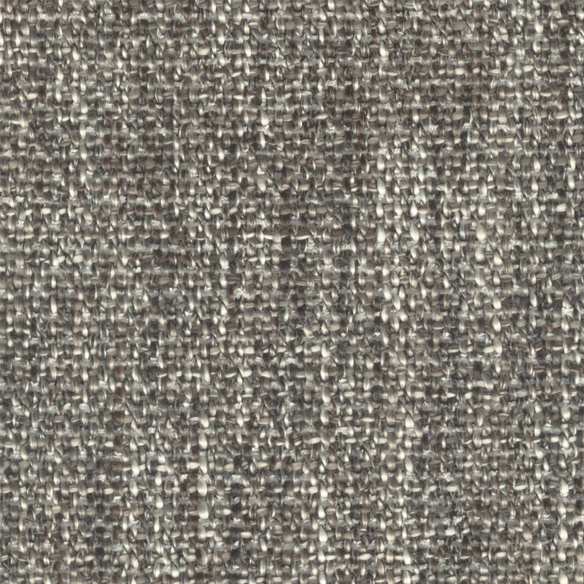 Shetland_Gray_Heather