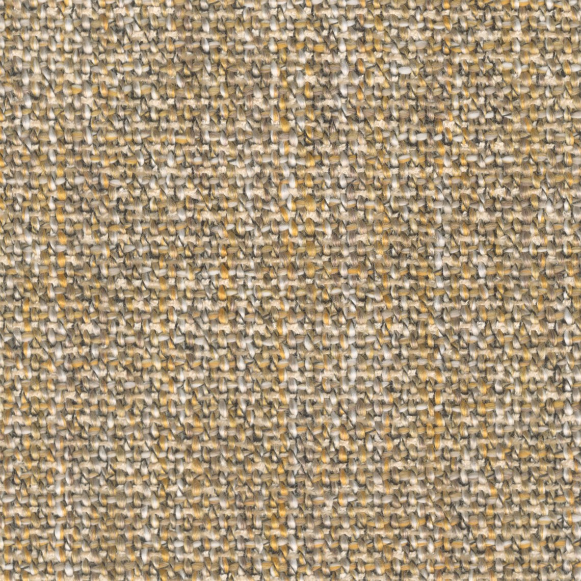 Shetland_Kennebeck