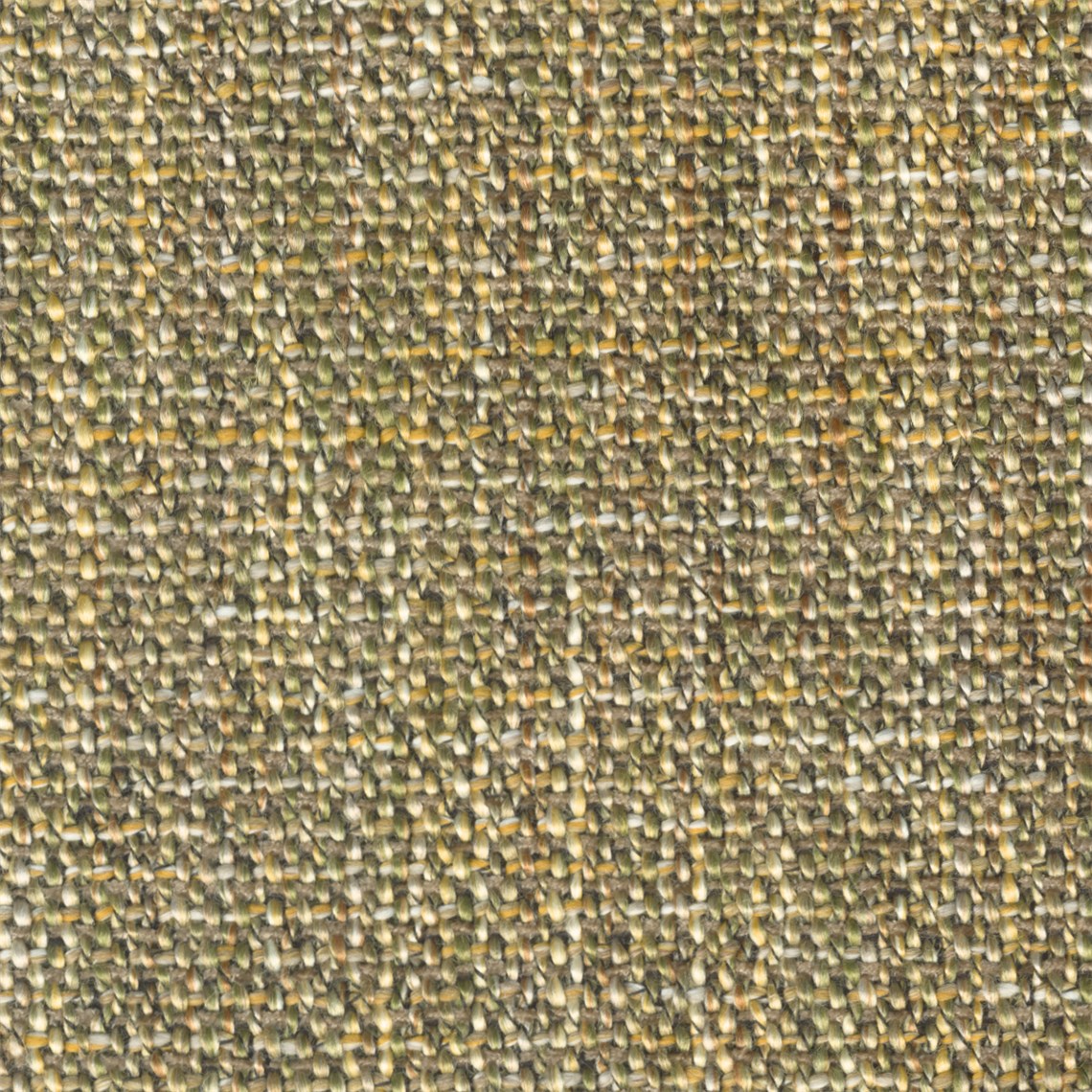Shetland_Moss