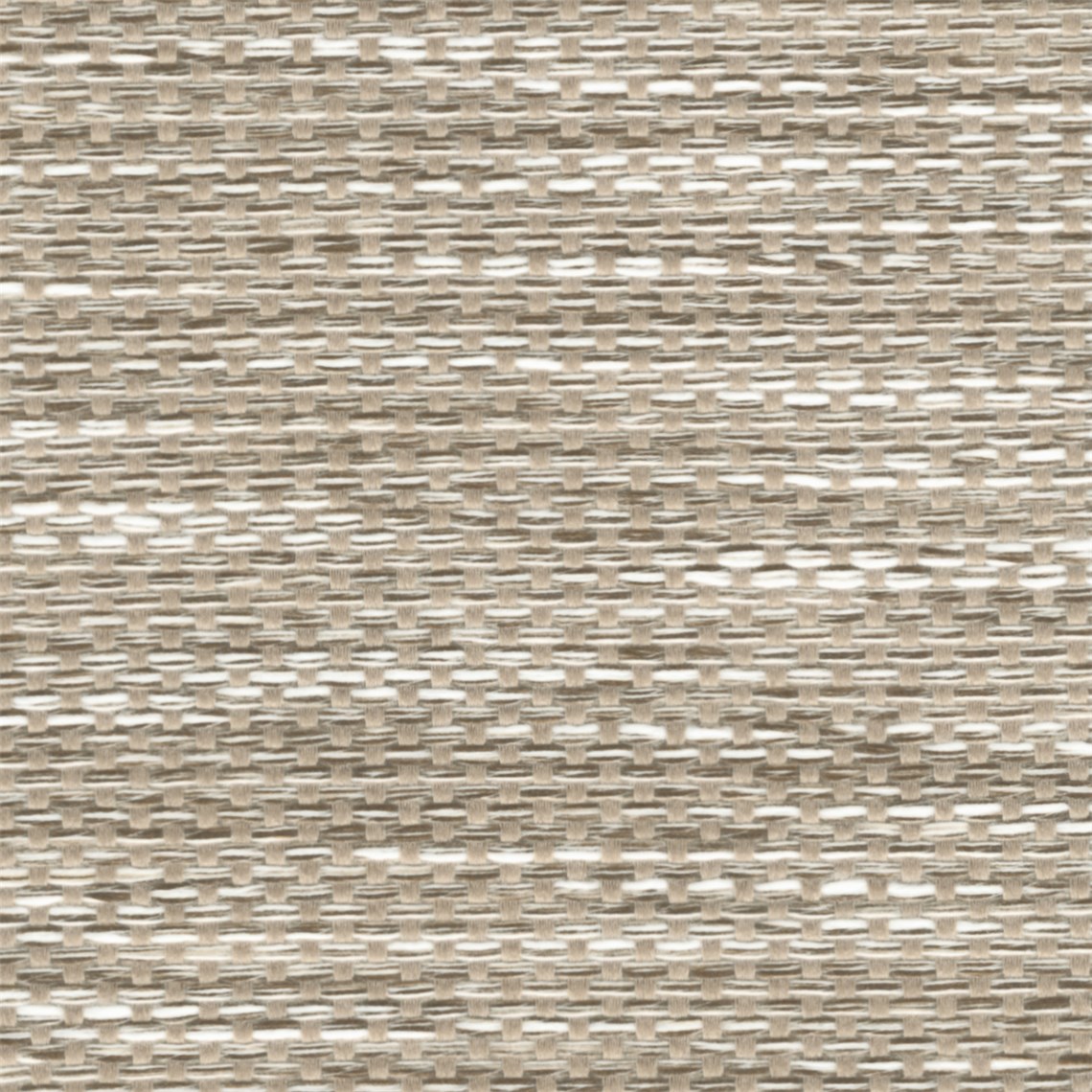 Triumph_Bamboo