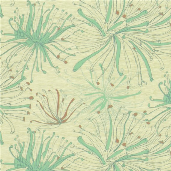 Anemone_Fortify